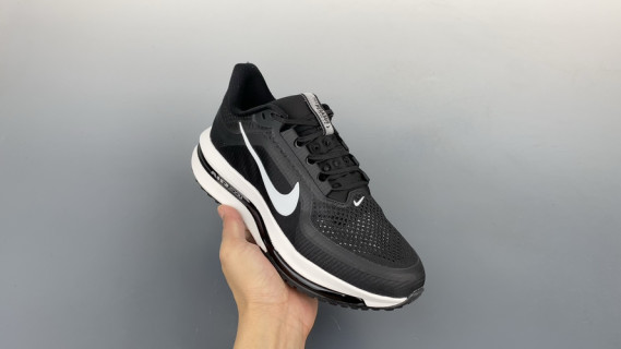 Nike Pegasus Premium view 1