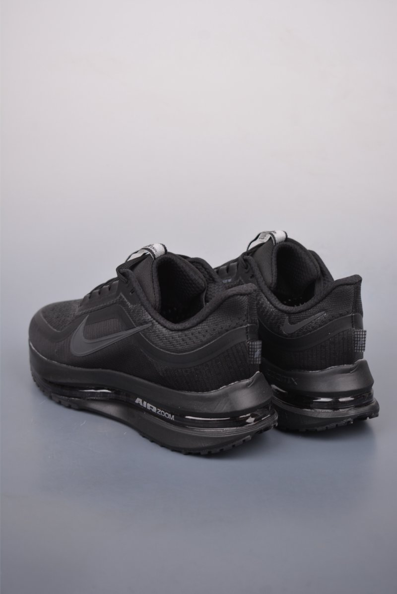 Nike Pegasus Premium view