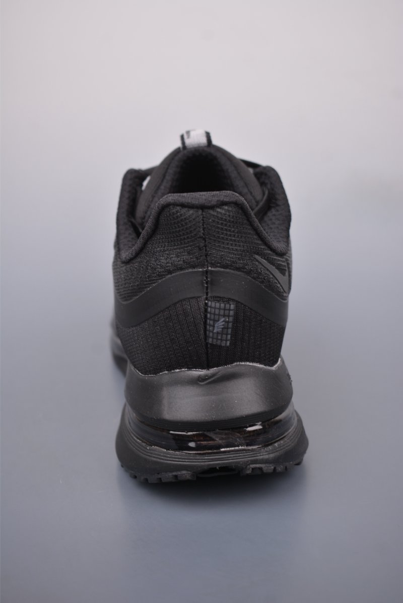 Nike Pegasus Premium view