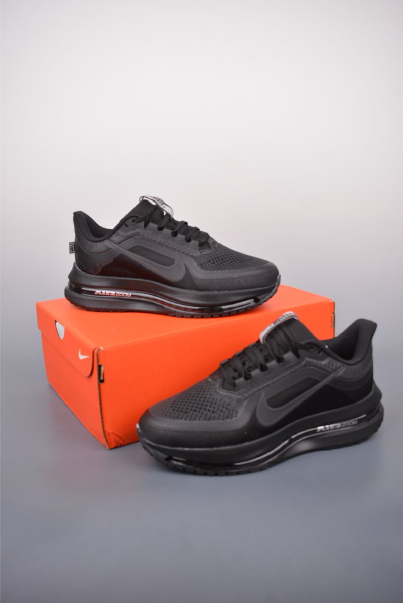 Nike Pegasus Premium view