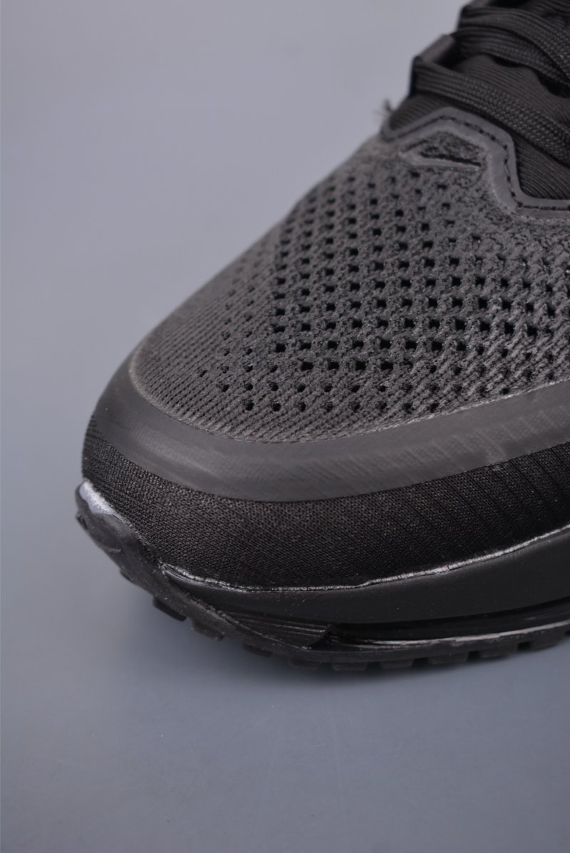 Nike Pegasus Premium view