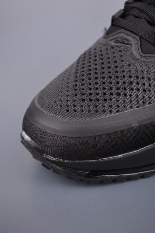 Nike Pegasus Premium view 6