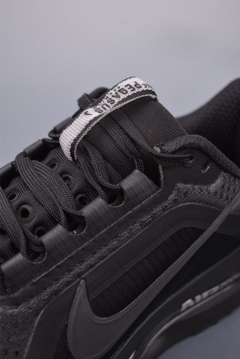 Nike Pegasus Premium view