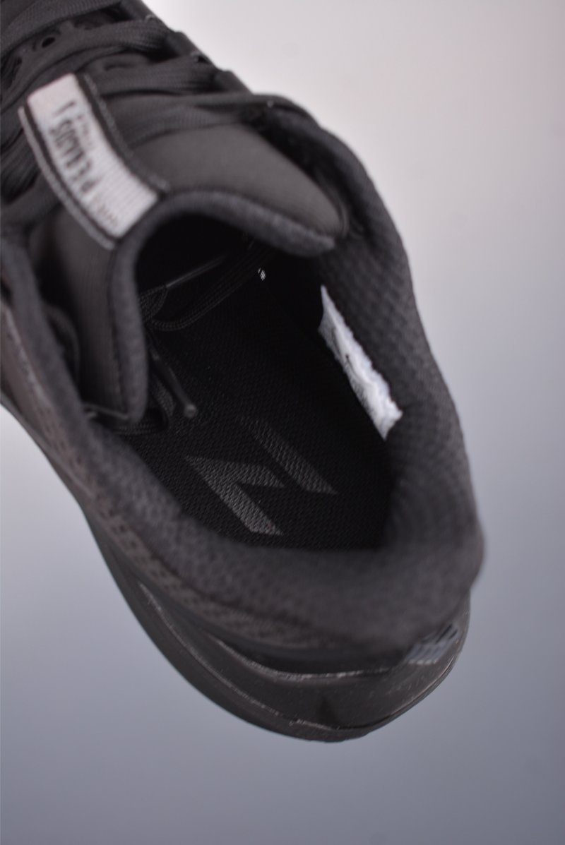Nike Pegasus Premium view