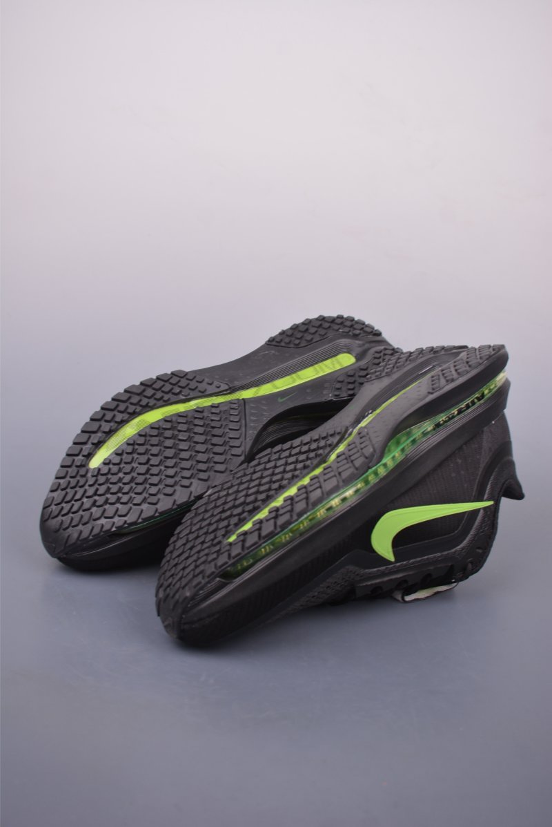 Nike Pegasus Premium view