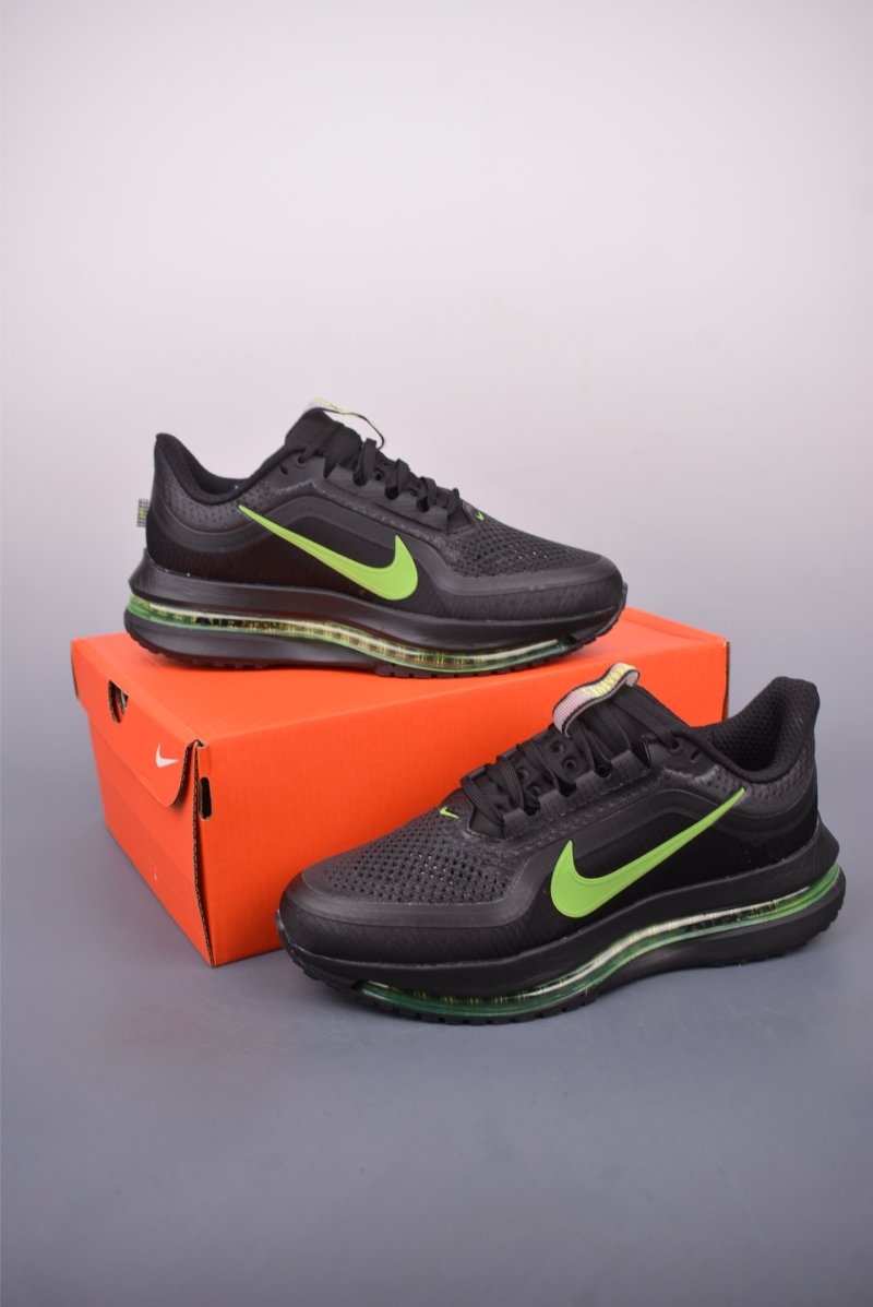 Nike Pegasus Premium view