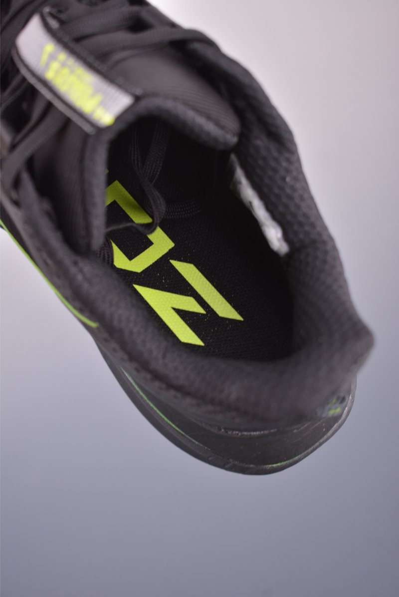Nike Pegasus Premium view