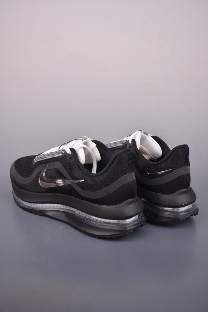 Nike Pegasus Premium view