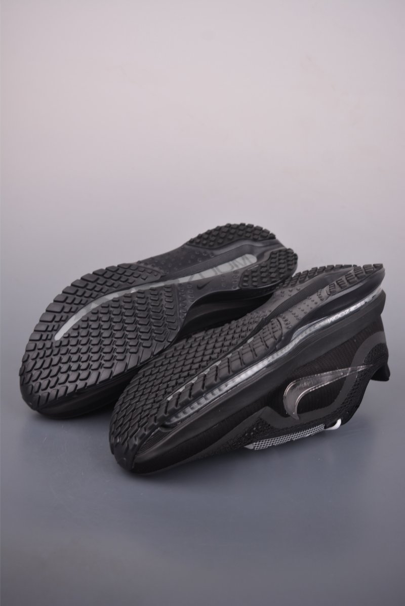 Nike Pegasus Premium view