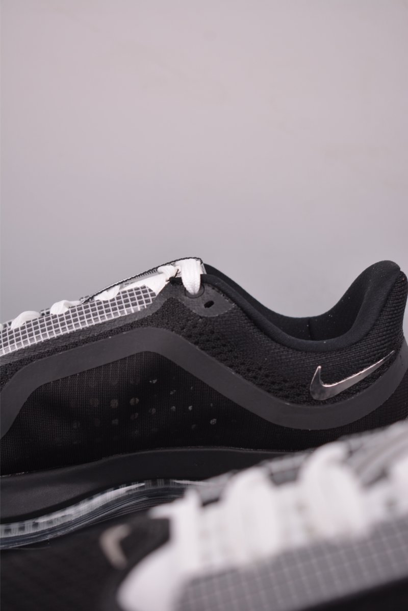 Nike Pegasus Premium view
