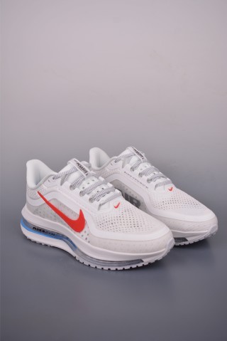 Nike Pegasus Premium view 1