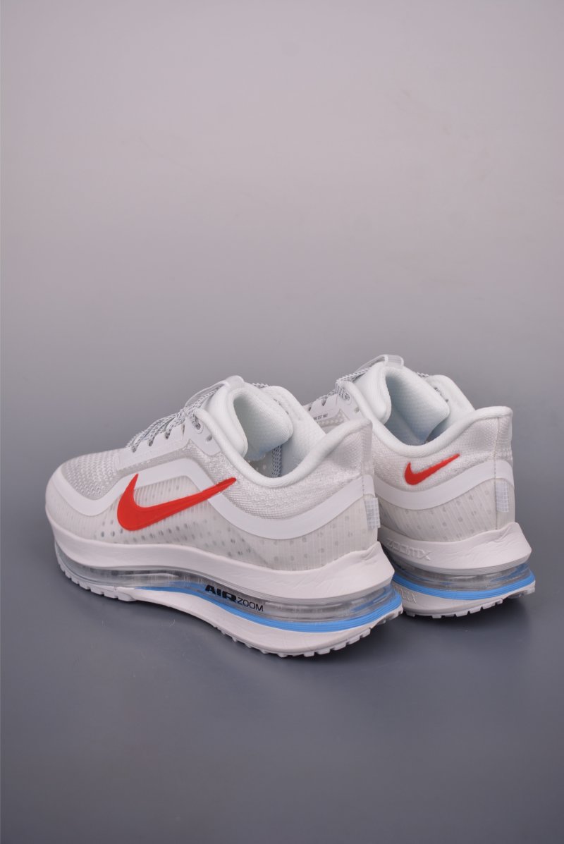 Nike Pegasus Premium view