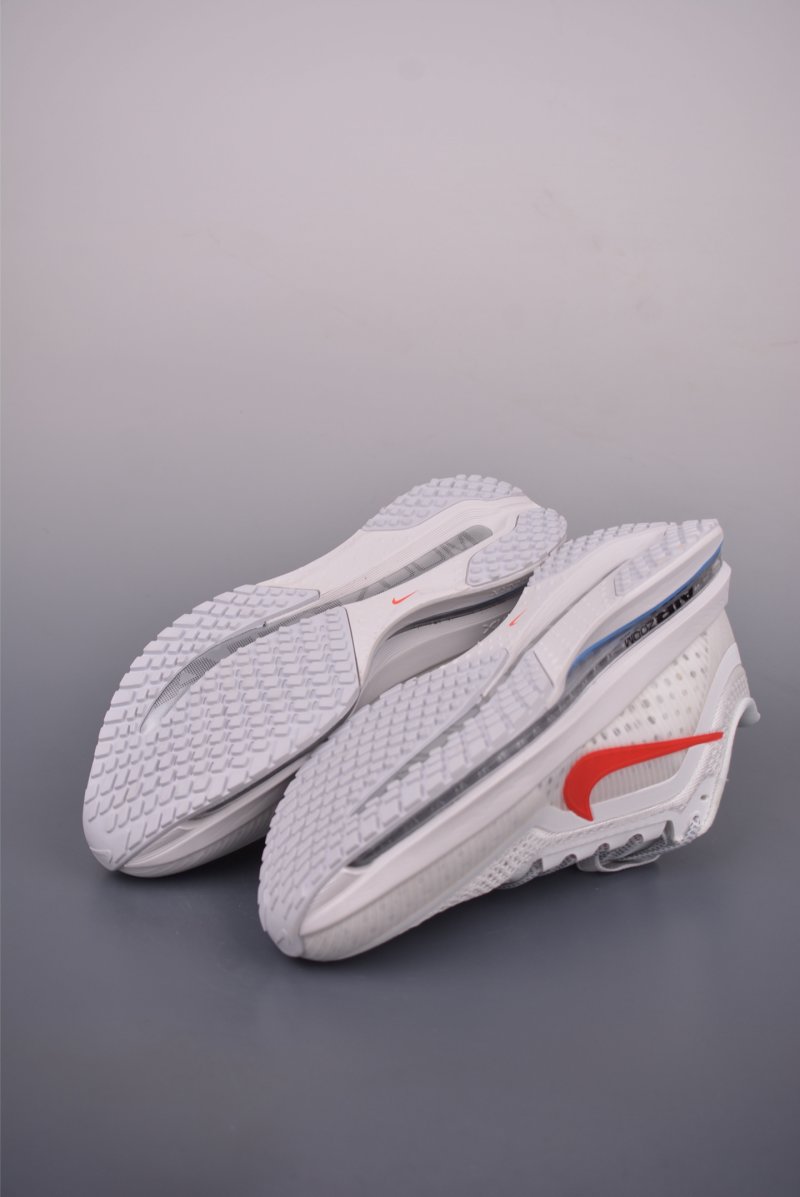 Nike Pegasus Premium view