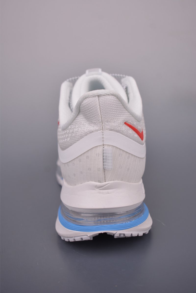 Nike Pegasus Premium view