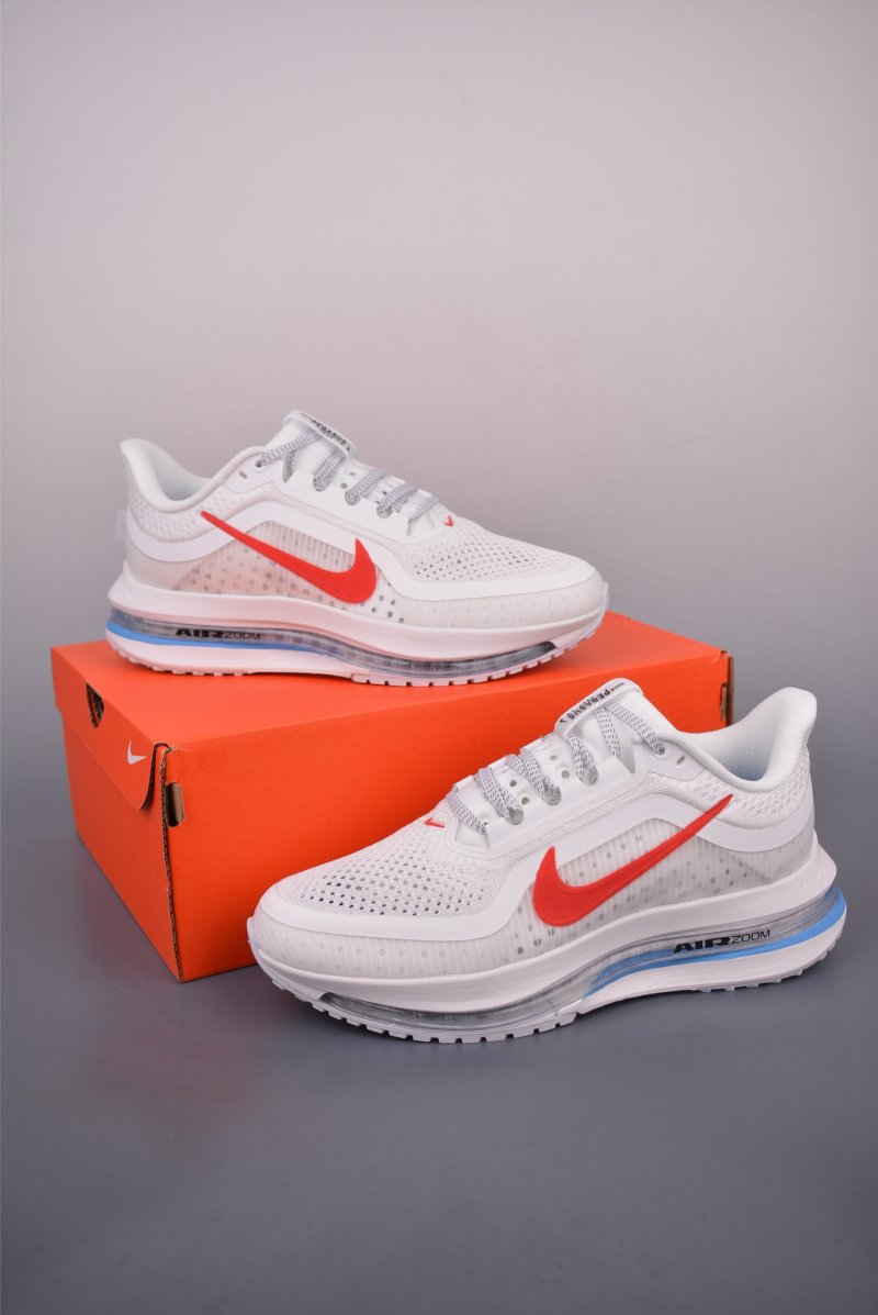 Nike Pegasus Premium view