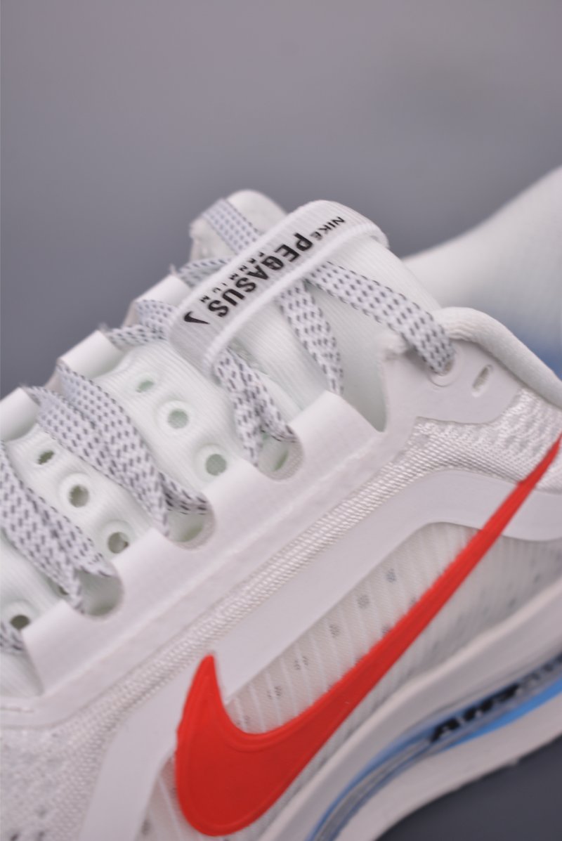 Nike Pegasus Premium view