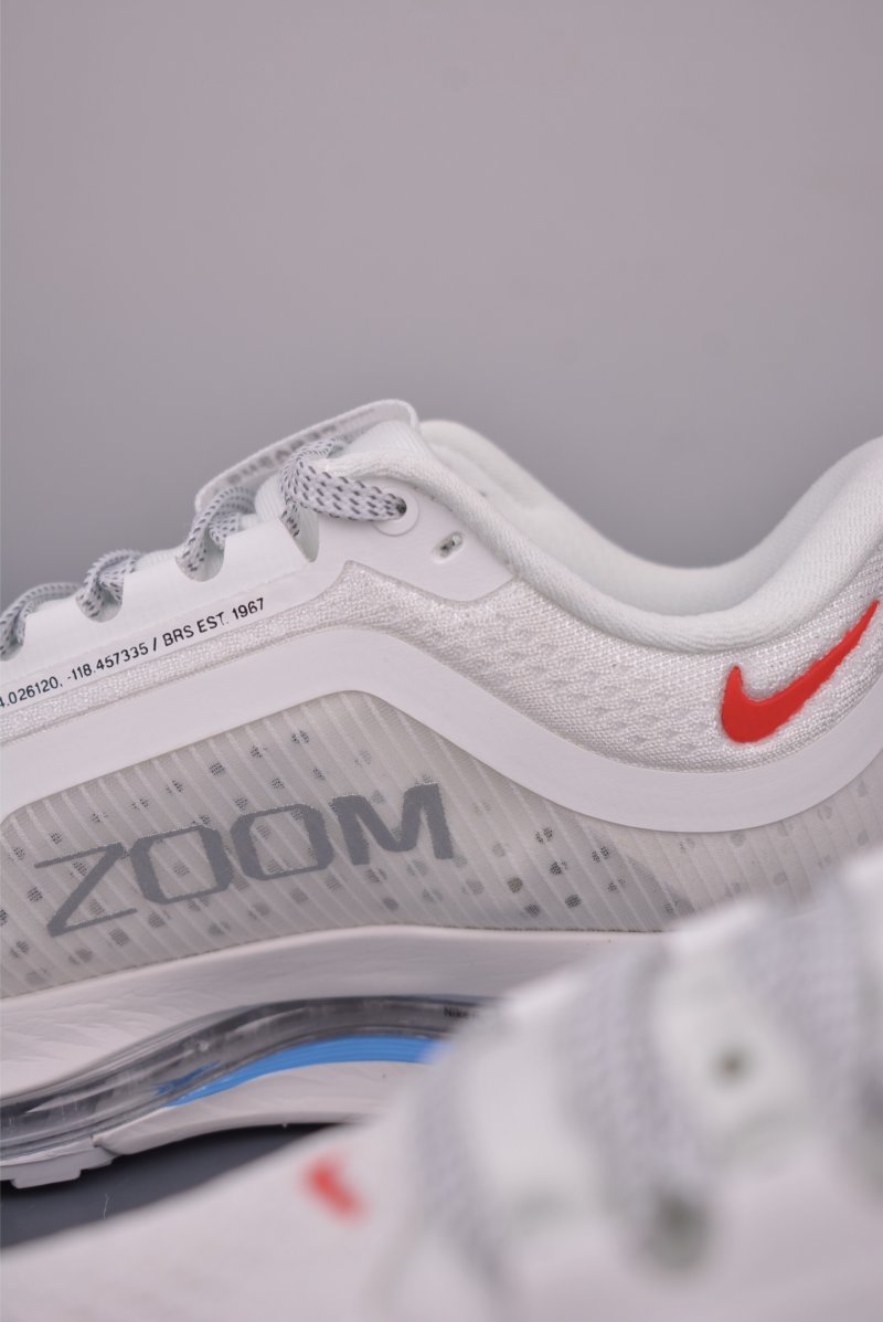 Nike Pegasus Premium view