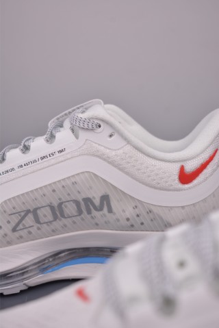 Nike Pegasus Premium view 8