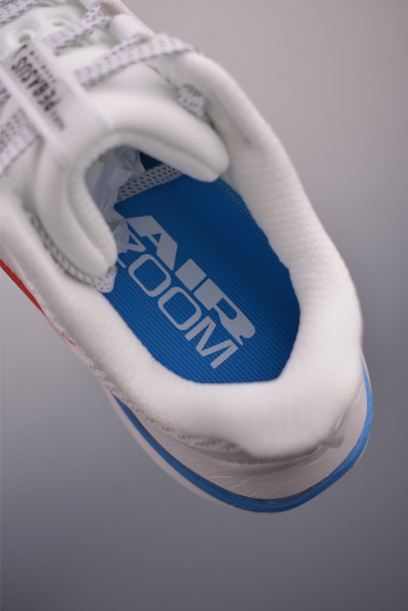 Nike Pegasus Premium view