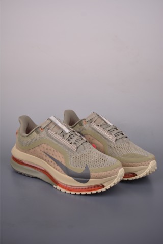 Nike Pegasus Premium view 1
