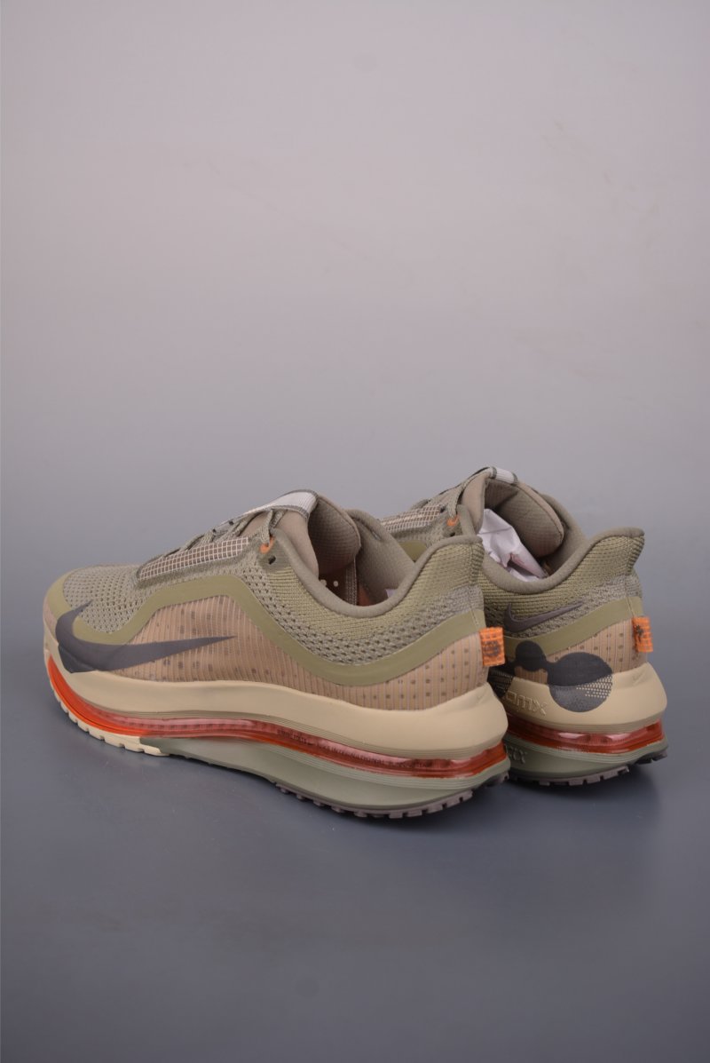 Nike Pegasus Premium view