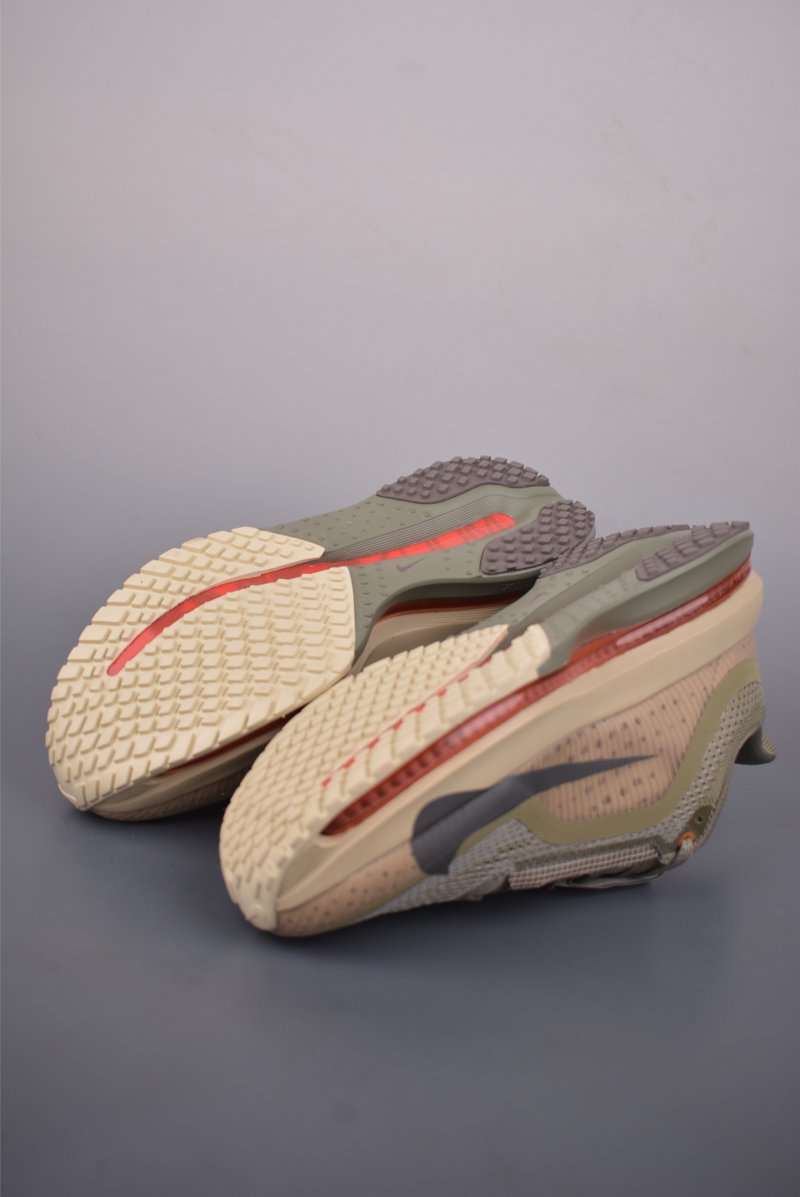 Nike Pegasus Premium view