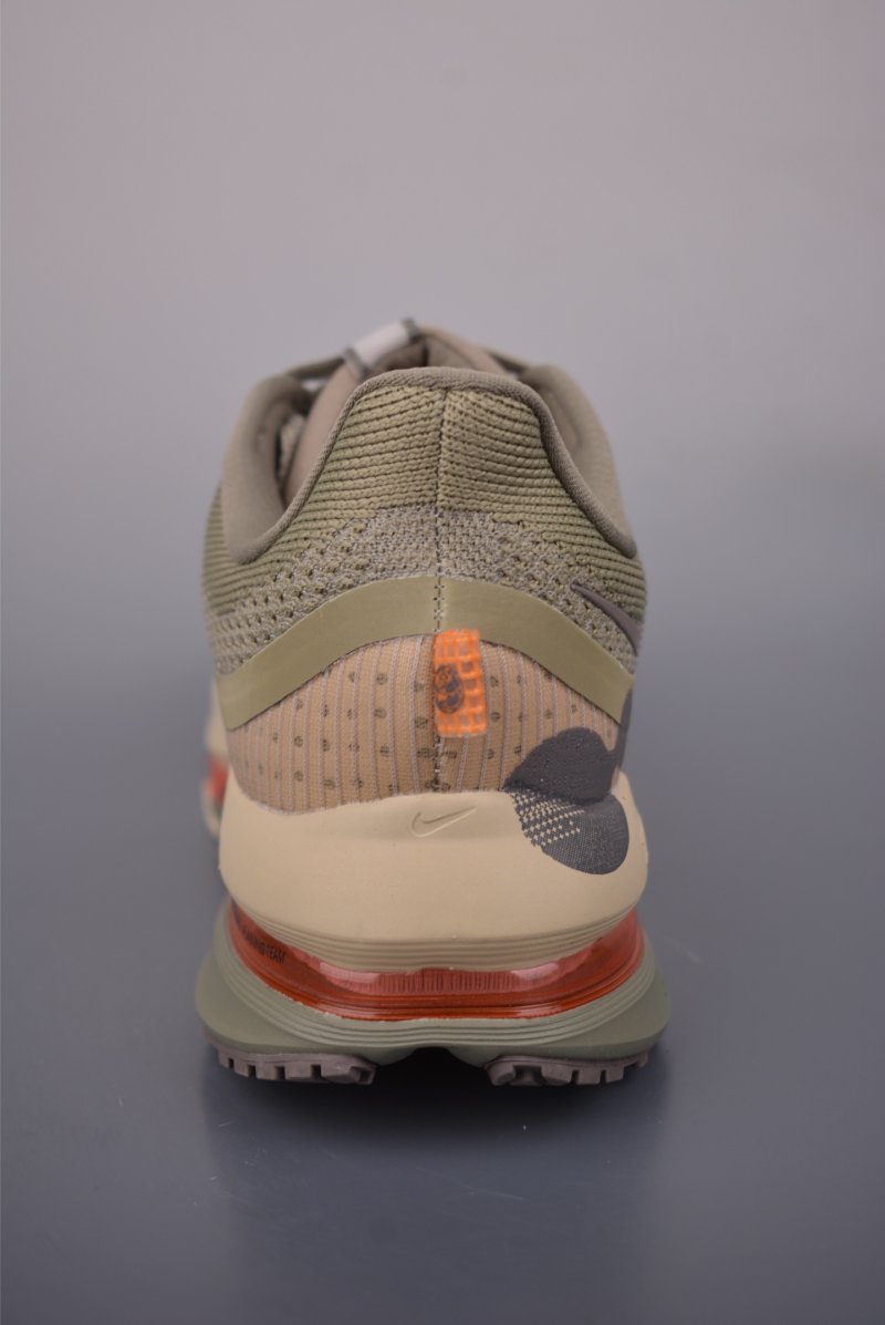 Nike Pegasus Premium view