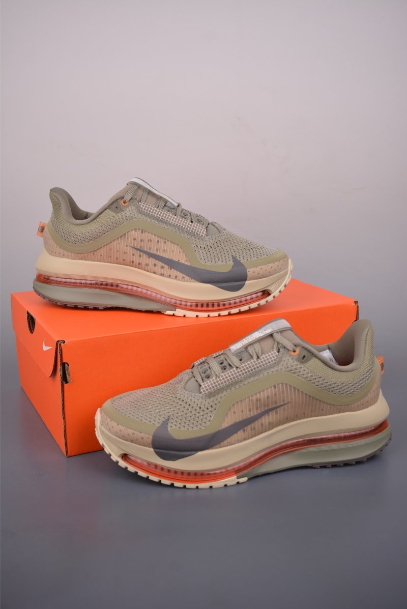 Nike Pegasus Premium view