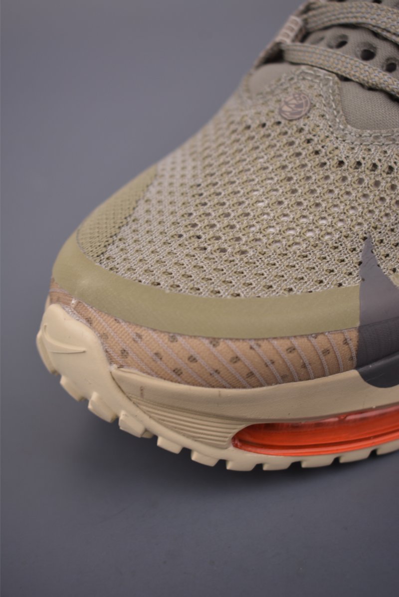 Nike Pegasus Premium view