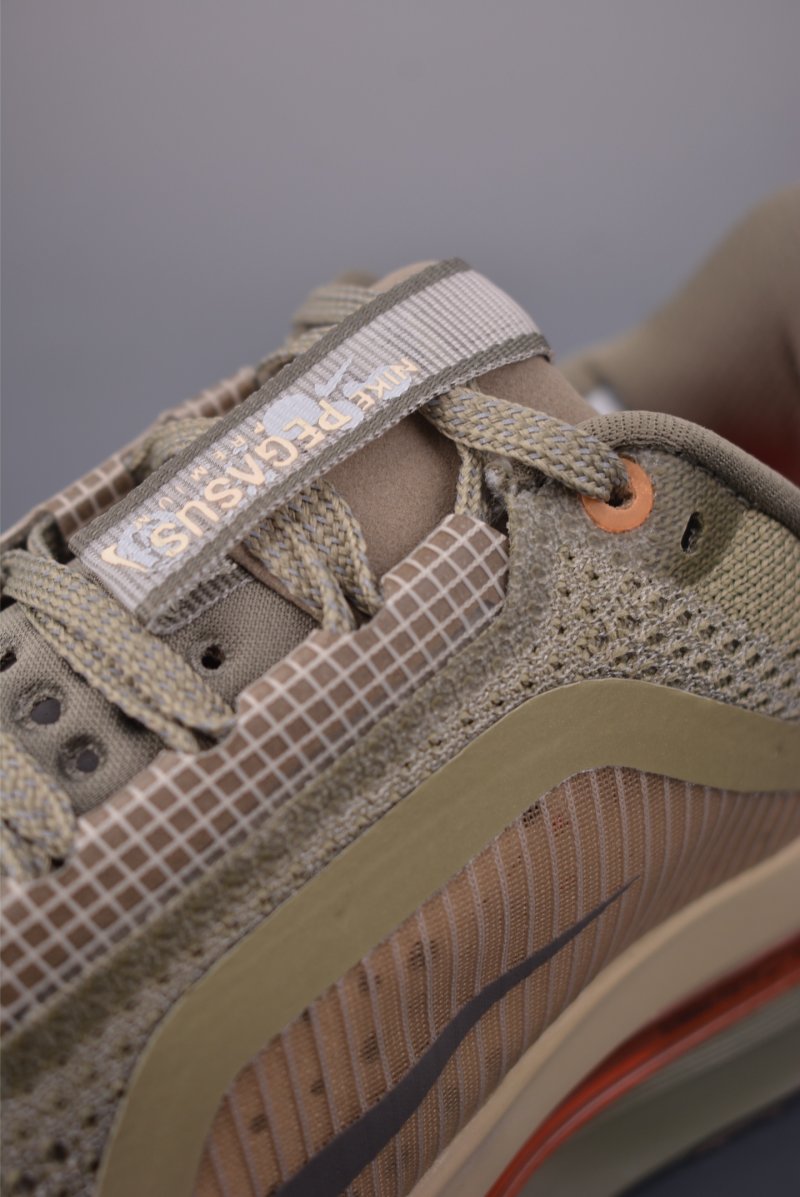 Nike Pegasus Premium view