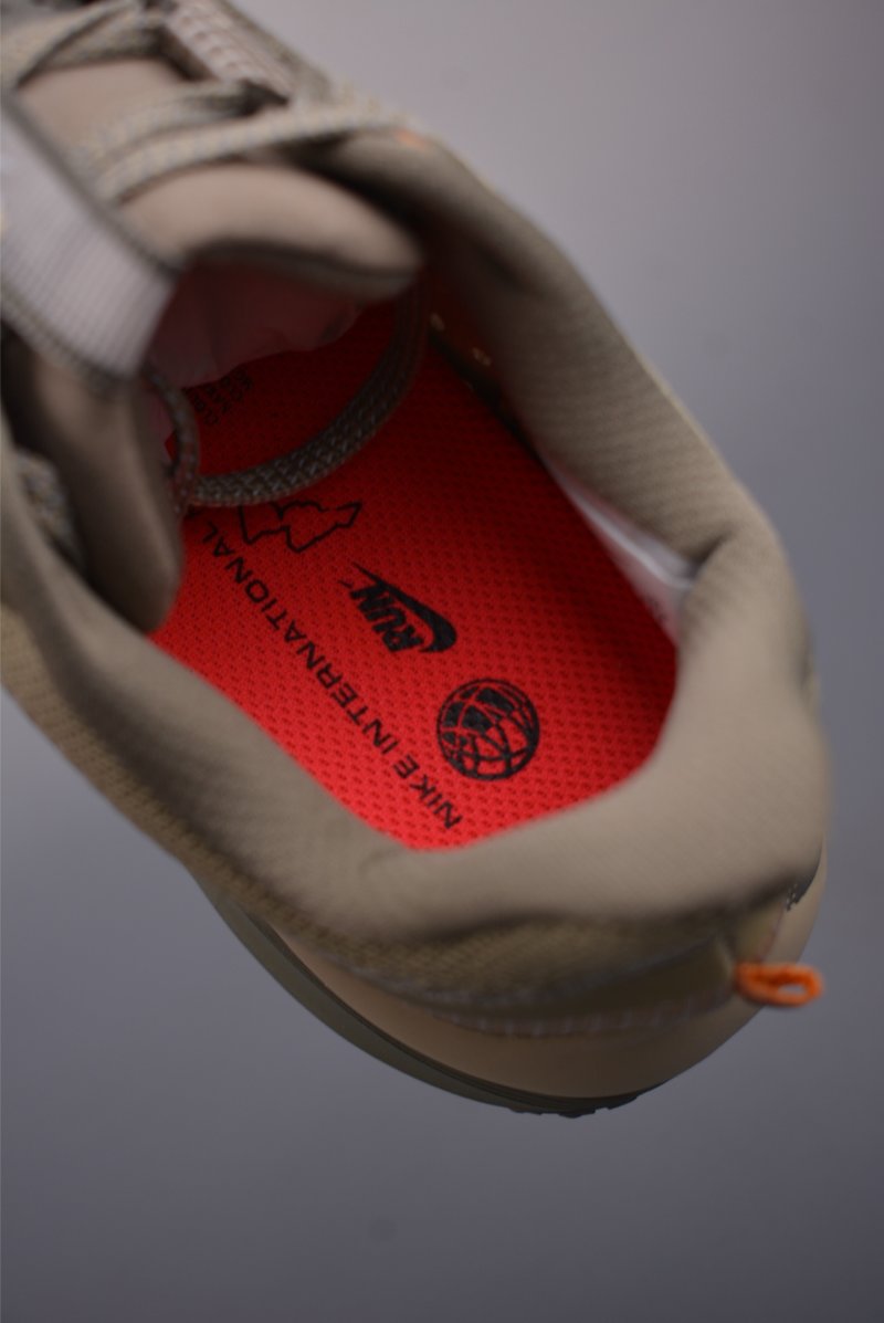 Nike Pegasus Premium view