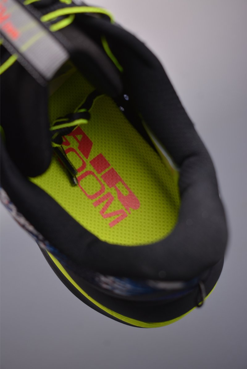 Nike Pegasus Premium view