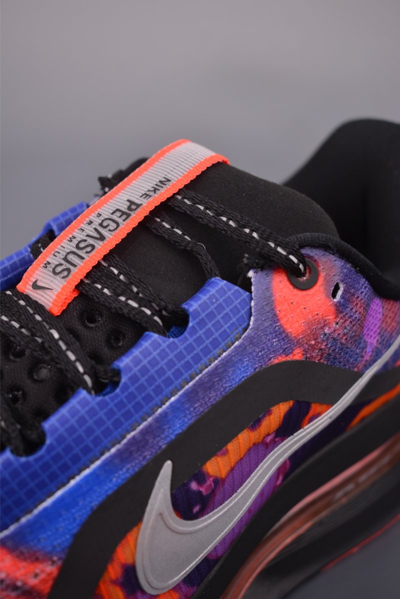 Nike Pegasus Premium view