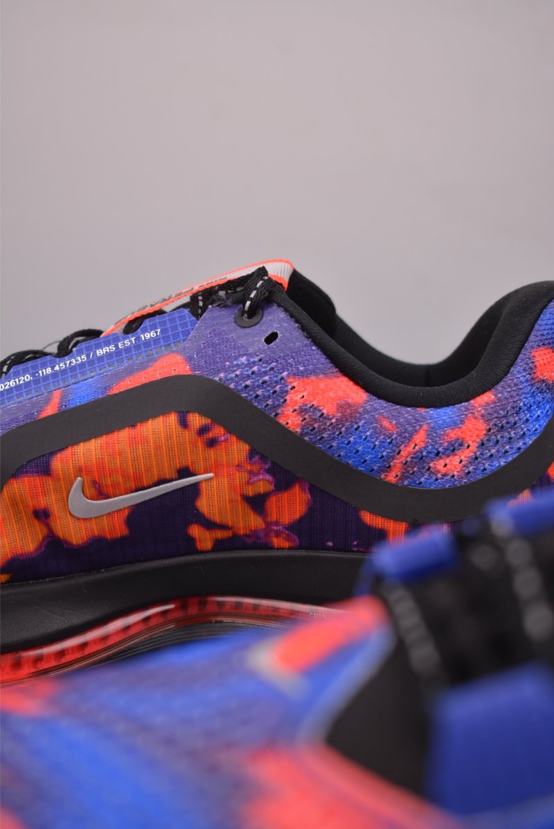 Nike Pegasus Premium view