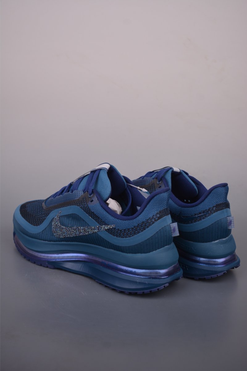 Nike Pegasus Premium view