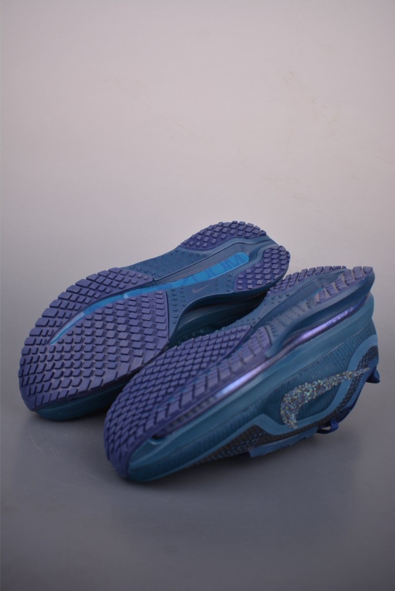 Nike Pegasus Premium view