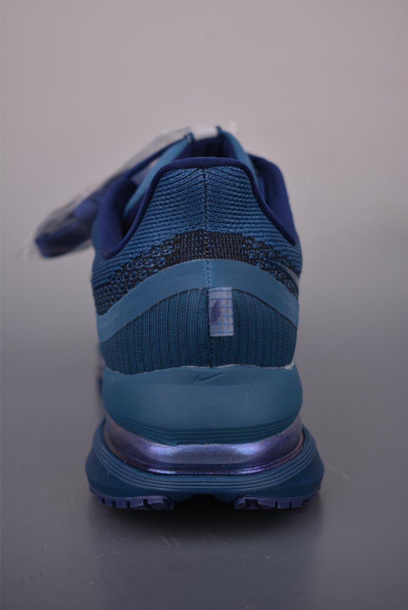 Nike Pegasus Premium view