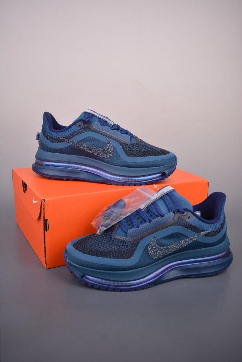 Nike Pegasus Premium view