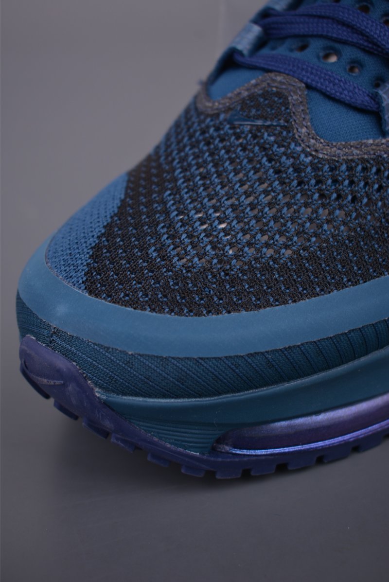 Nike Pegasus Premium view
