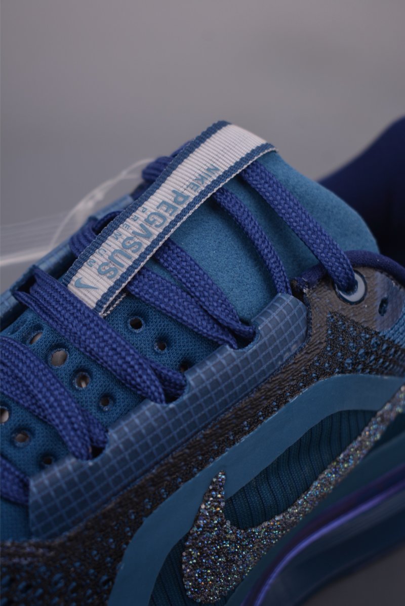 Nike Pegasus Premium view