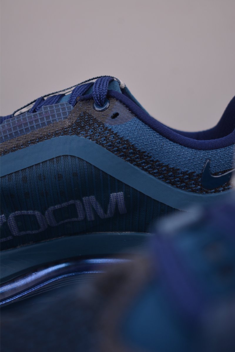 Nike Pegasus Premium view