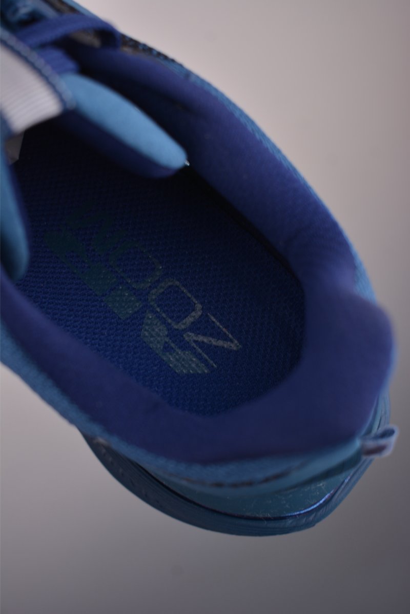 Nike Pegasus Premium view