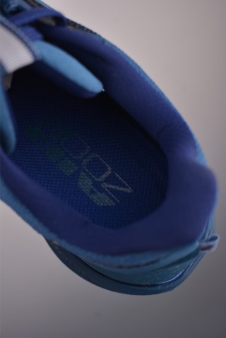 Nike Pegasus Premium view 9