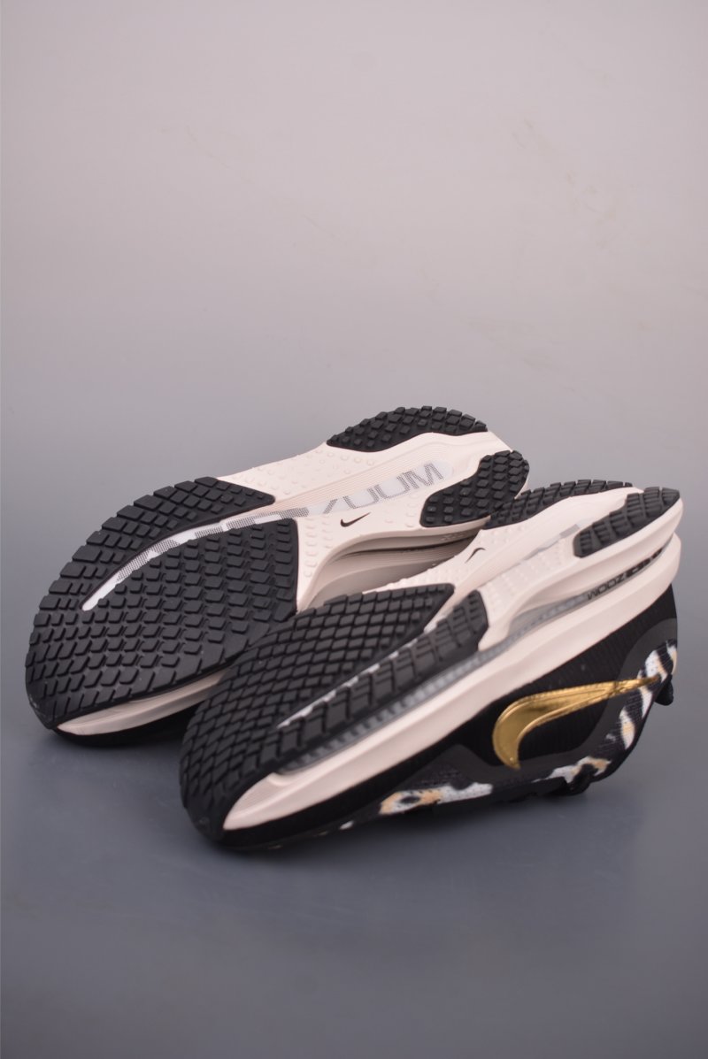 Nike Pegasus Premium view