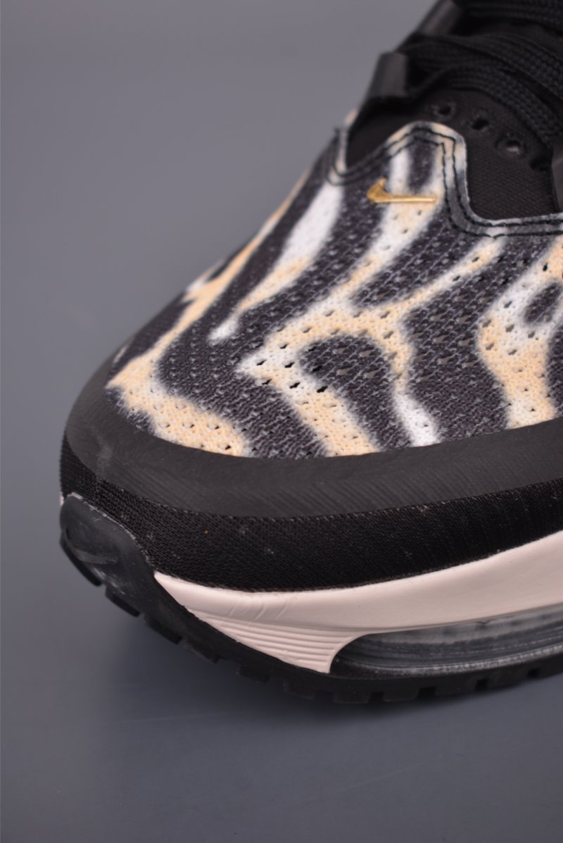 Nike Pegasus Premium view