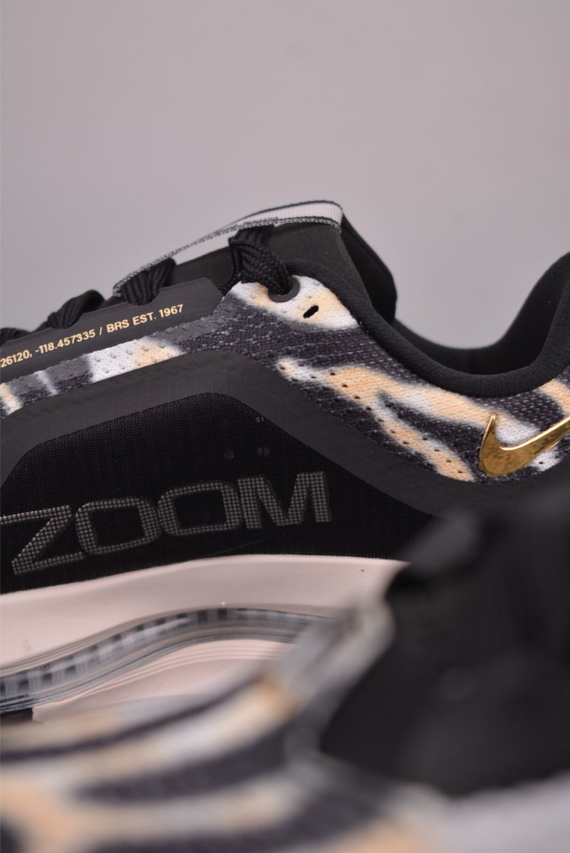 Nike Pegasus Premium view