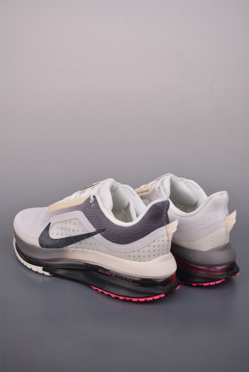 Nike Pegasus Premium view