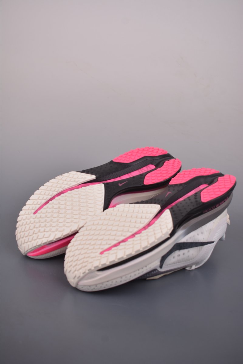 Nike Pegasus Premium view