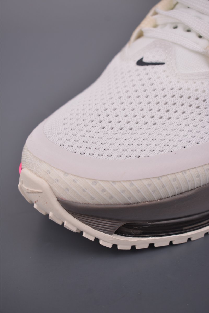 Nike Pegasus Premium view