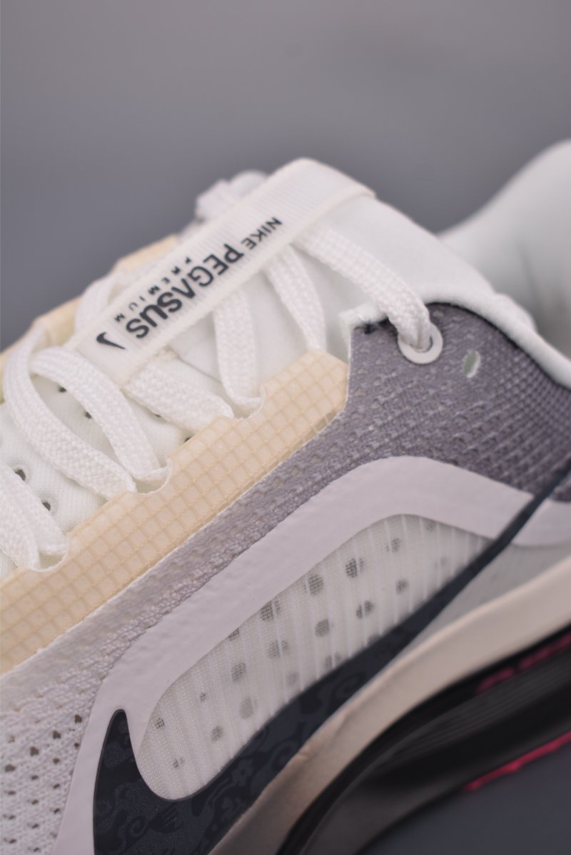 Nike Pegasus Premium view